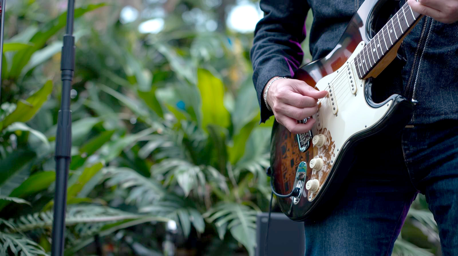 13 foto MUSICA AL AIRE LIBRE