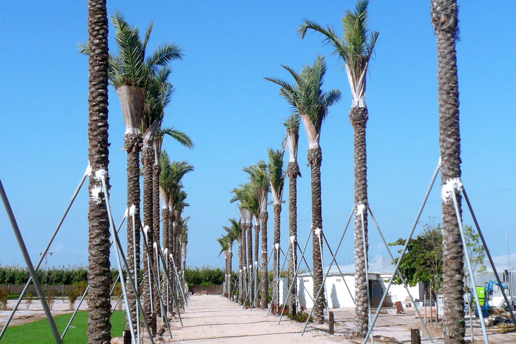 MANTENIMIENTO JARDINES (3)