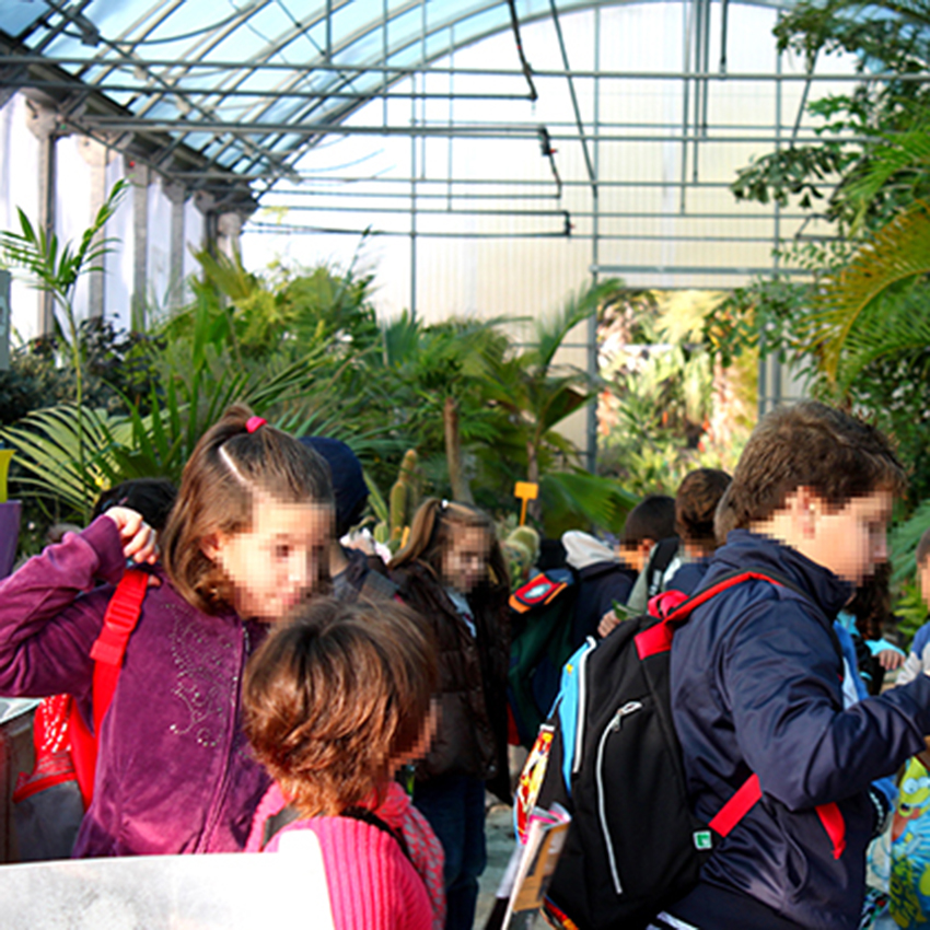 Visita col.legi Luis Vives (Sueca) - botanic cullera 1