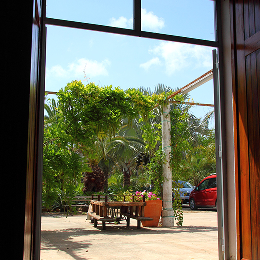 botanic casa 1