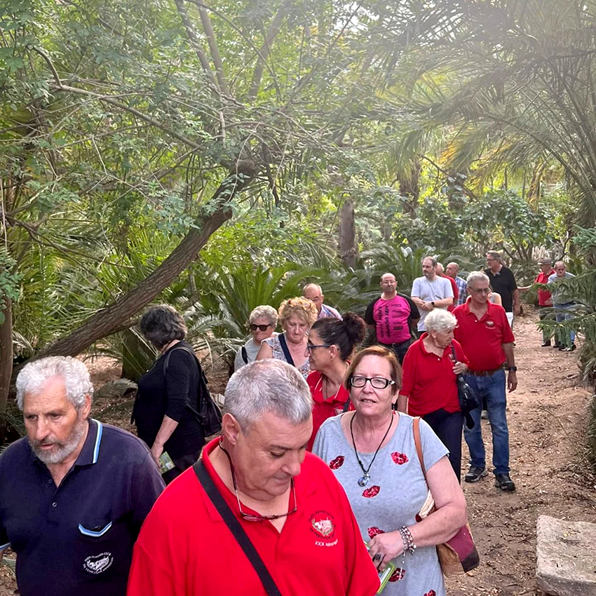 visita coches clasicos baja aragon